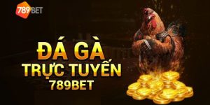 789BET Com